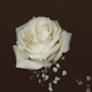 Meet your Posher, Marina